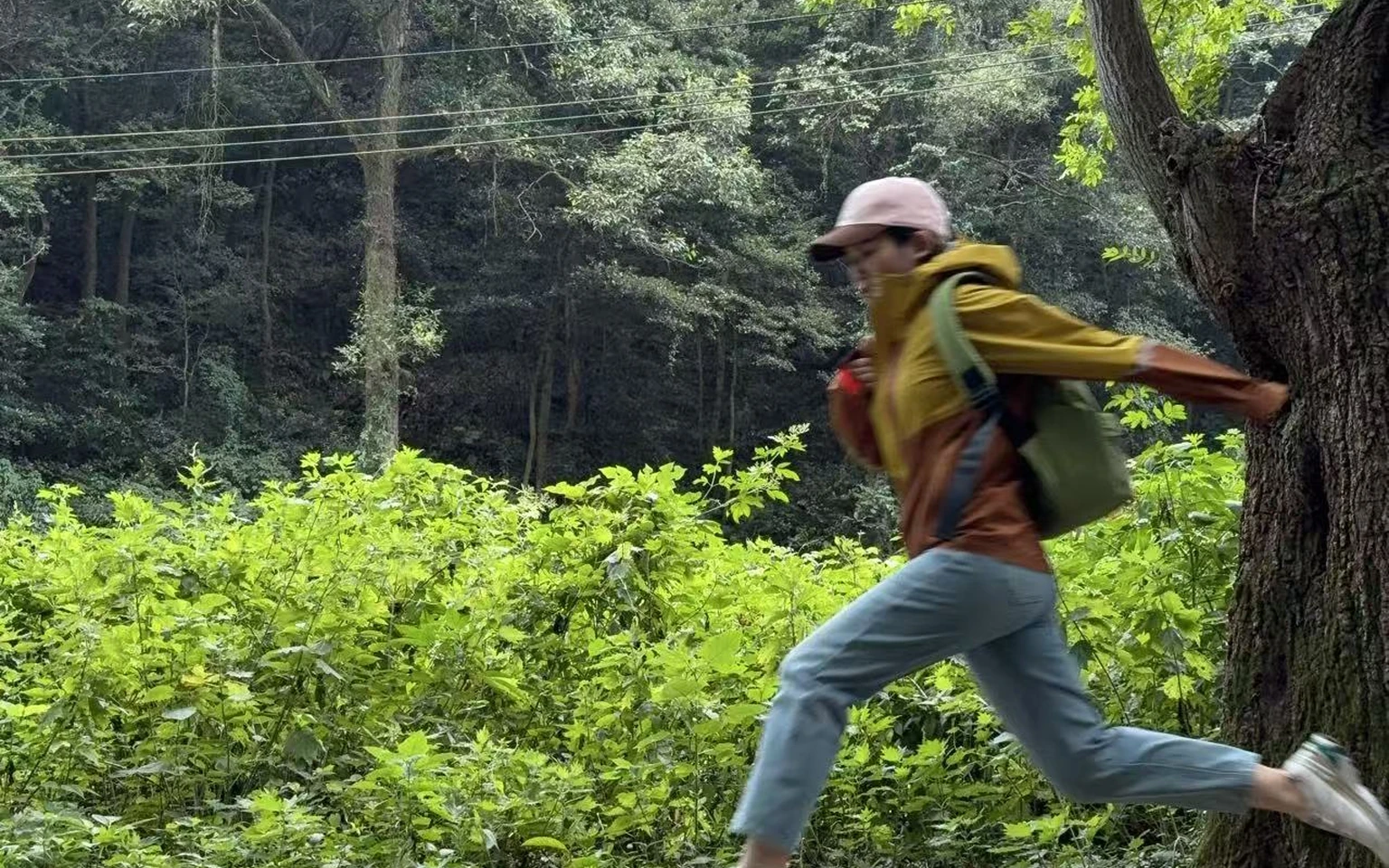 Hiker wearing a waterproof shell jacket moving through a green forest trail